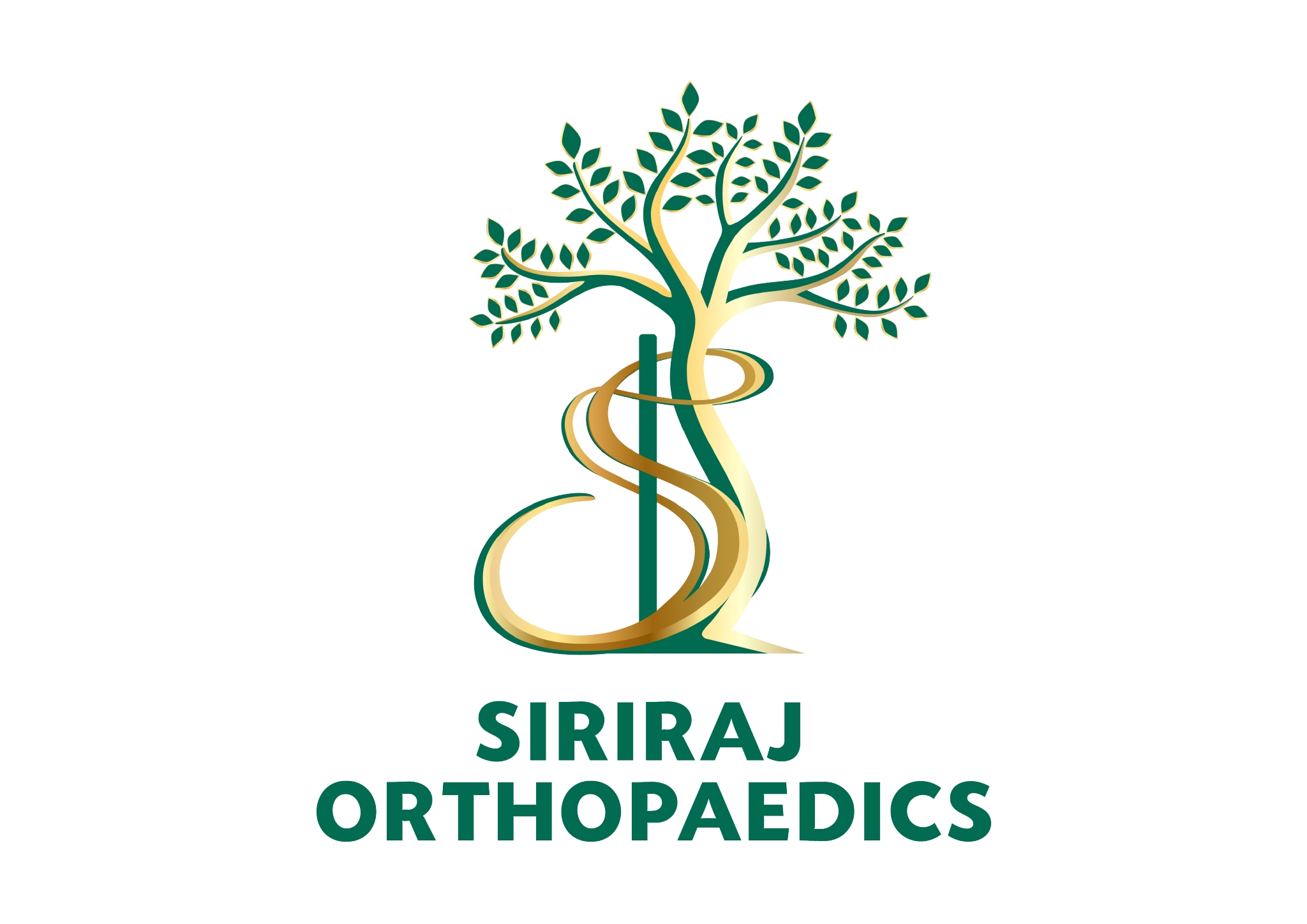 Siriraj Hospital (Department of Orthopaedic Surgery and Physical Therapy) logo